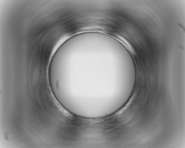 X0000096411196200801241018