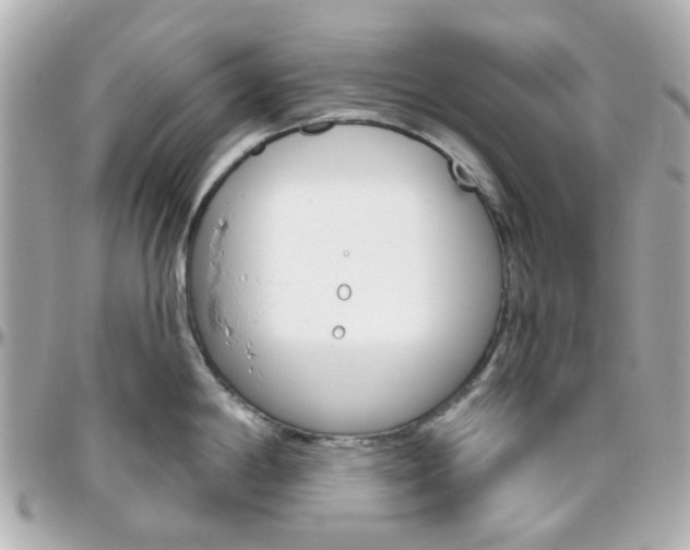 X0000096411198200801241018