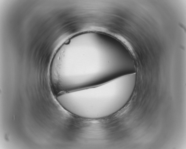 X0000096411199200801241018