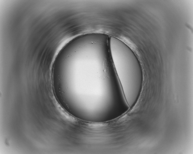 X0000096411200200801241018