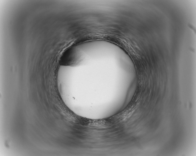 X0000096411201200801241017