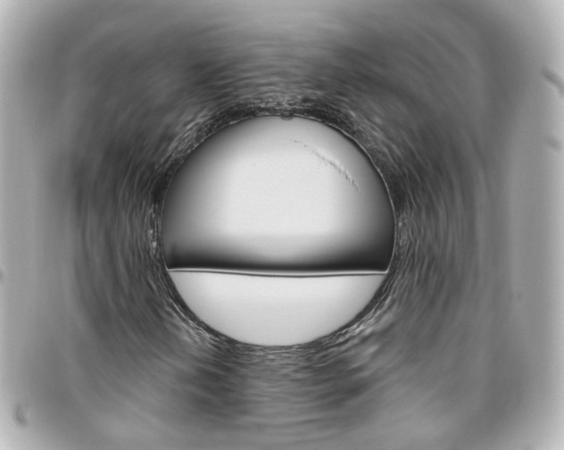 X0000096411202200801241018
