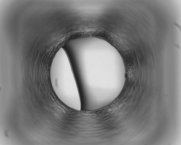 X0000096411204200801241018