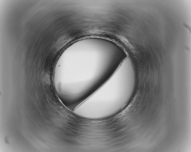 X0000096411209200801241018