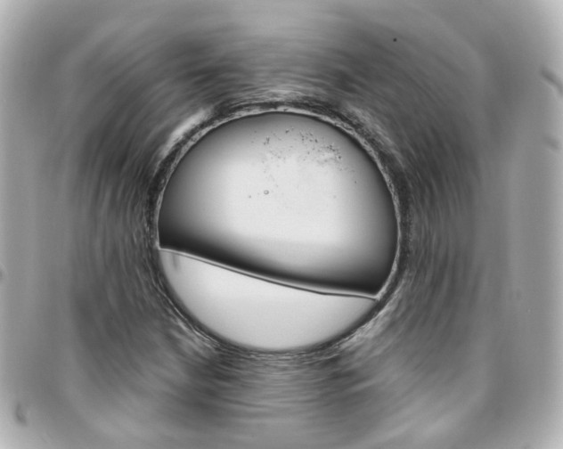 X0000096411210200801241018
