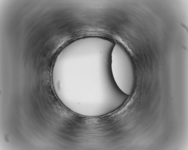 X0000096411211200801241018