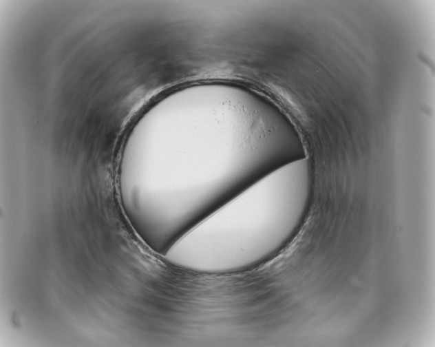 X0000096411212200801241018