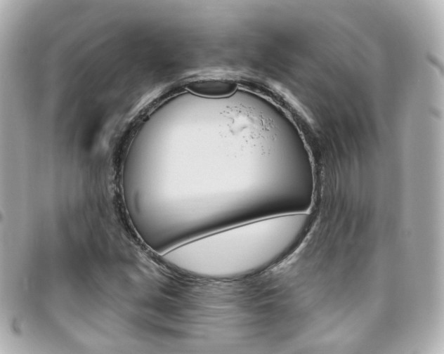 X0000096411213200801241018
