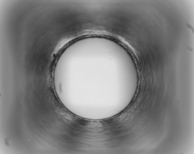 X0000096411215200801241018