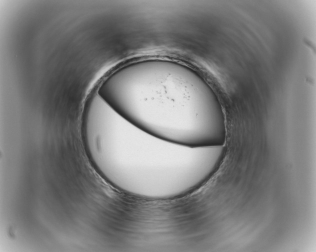 X0000096411216200801241018