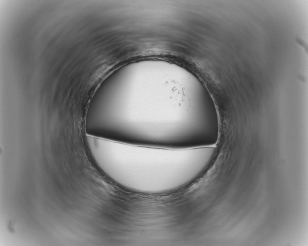 X0000096411217200801241018