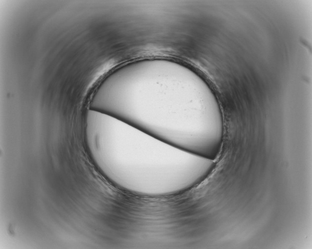 X0000096411219200801241018