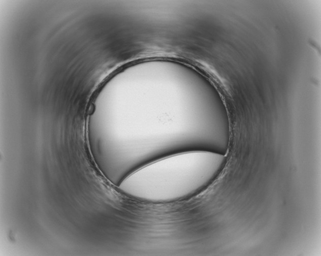 X0000096411220200801241018