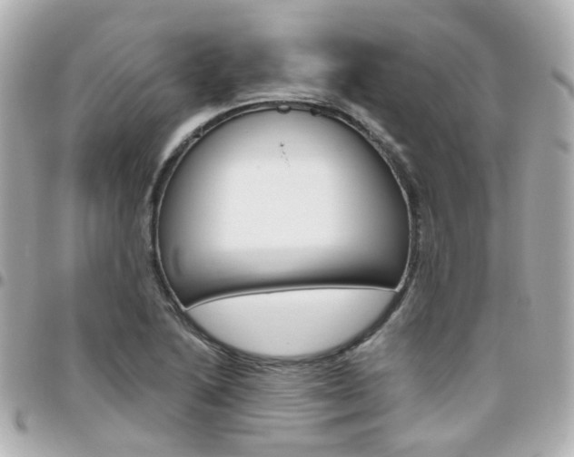X0000096411222200801241018