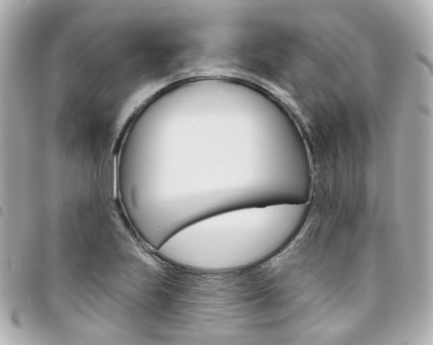 X0000096411223200801241018