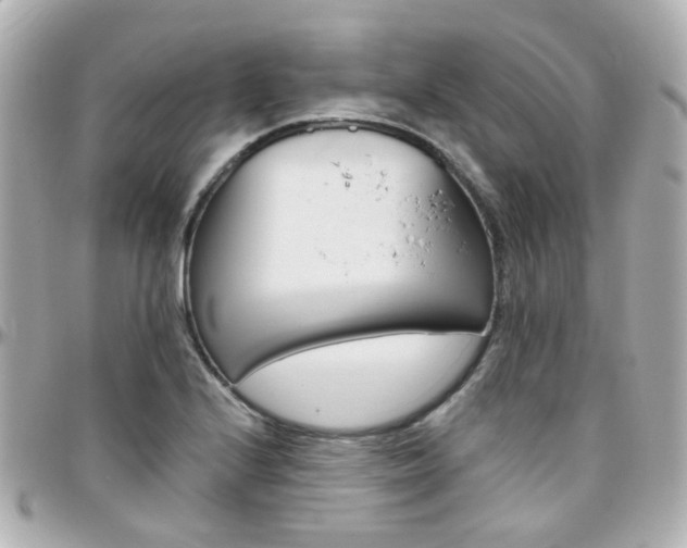 X0000096411224200801241018
