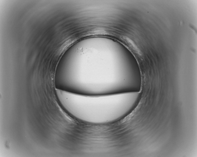 X0000096411225200801241018