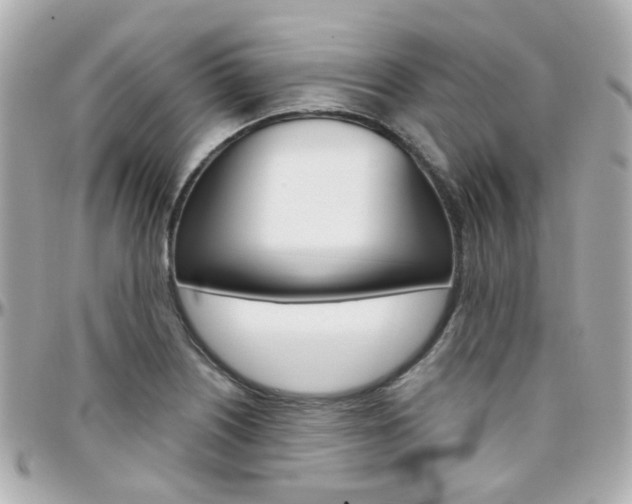 X0000096411226200801241018