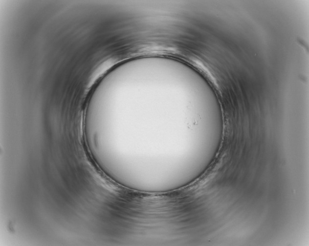 X0000096411227200801241018