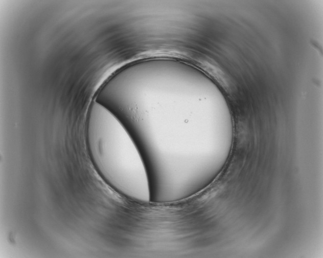 X0000096411228200801241018