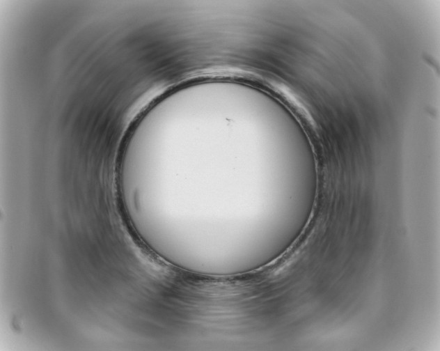 X0000096411229200801241018