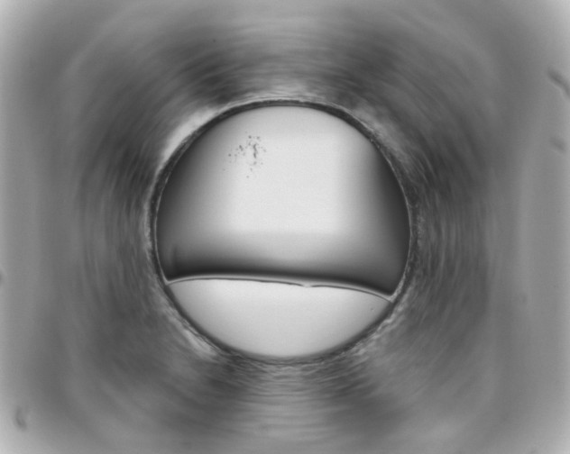 X0000096411230200801241018