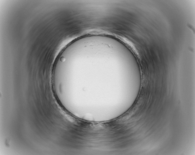X0000096411231200801241018
