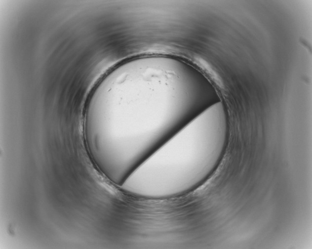 X0000096411232200801241018