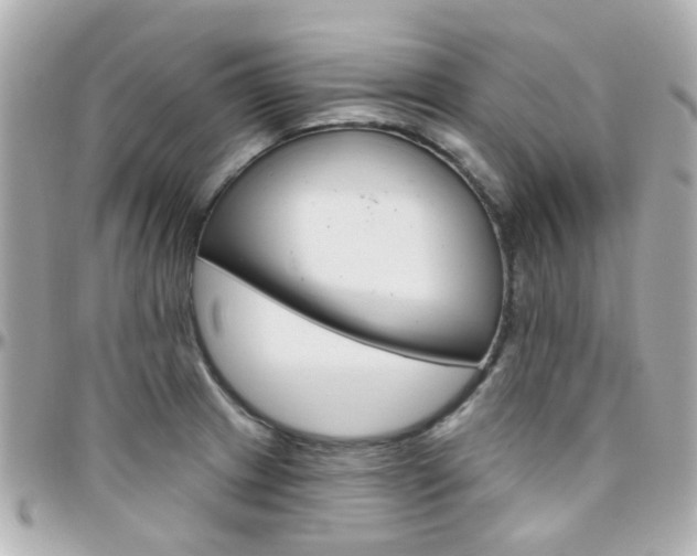 X0000096411233200801241018