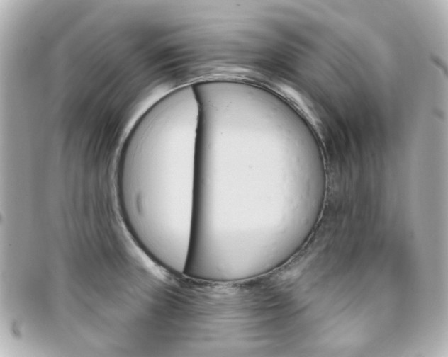 X0000096411235200801241018