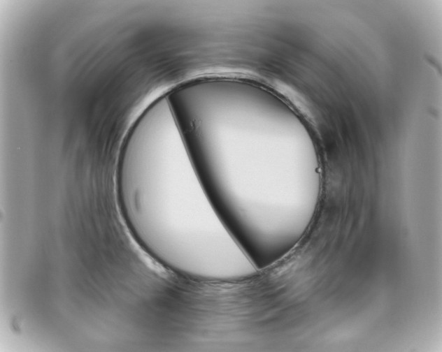 X0000096411237200801241018