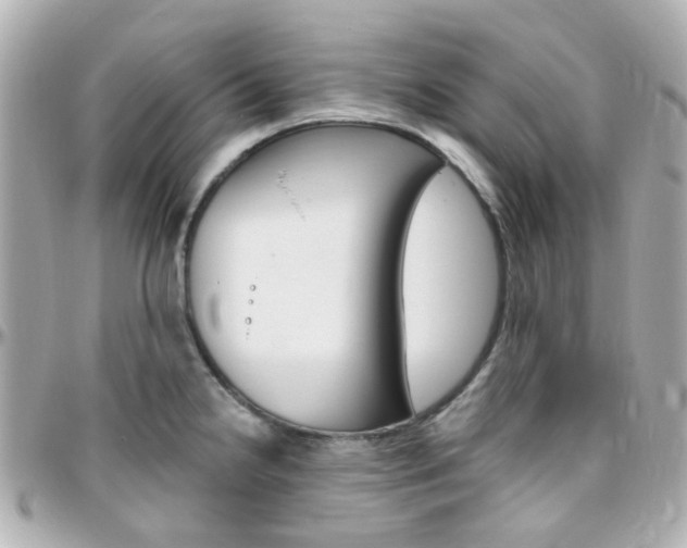 X0000096411238200801241018
