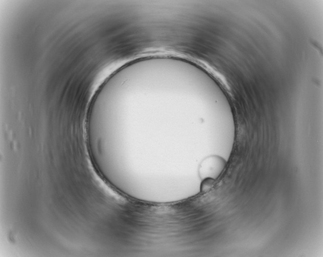 X0000096411239200801241018