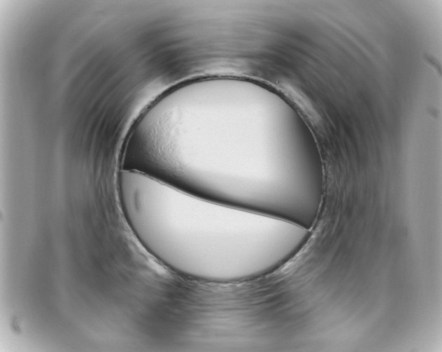 X0000096411240200801241018