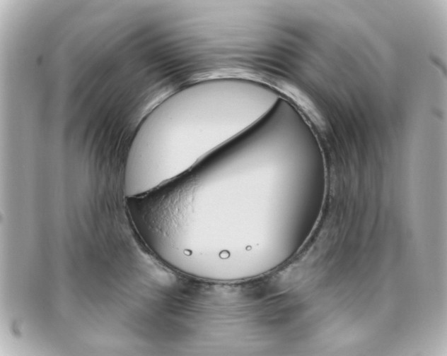 X0000096411241200801241018
