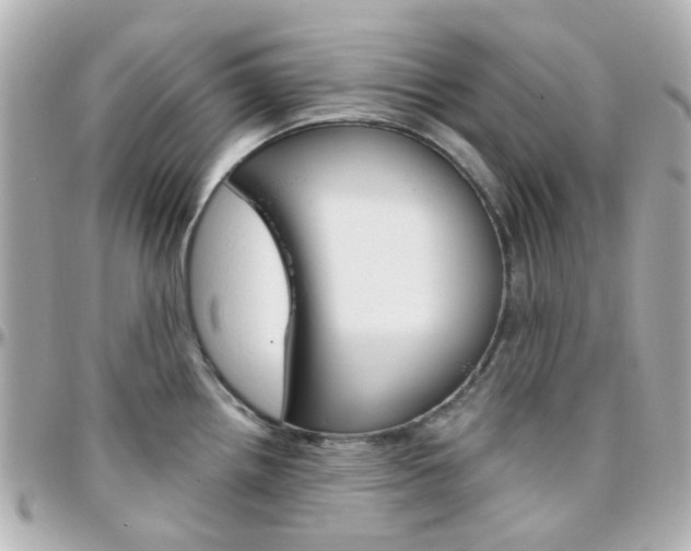 X0000096411242200801241018