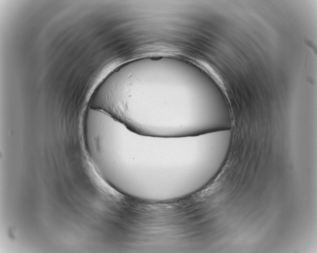 X0000096411243200801241018
