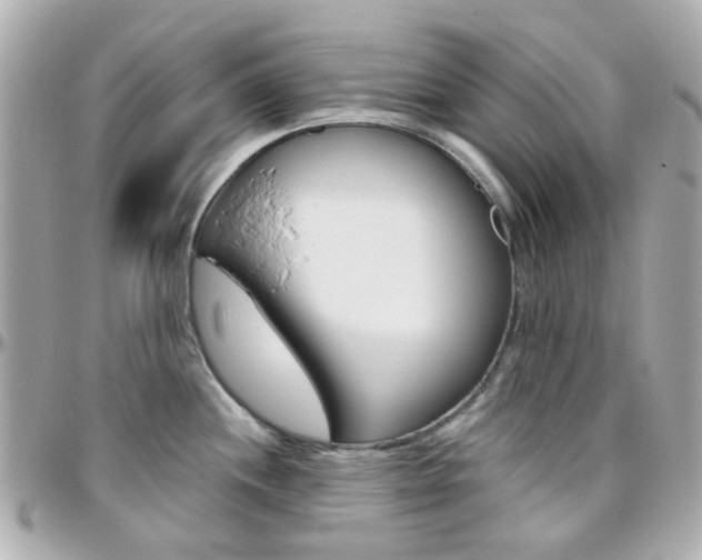 X0000096411244200801241018