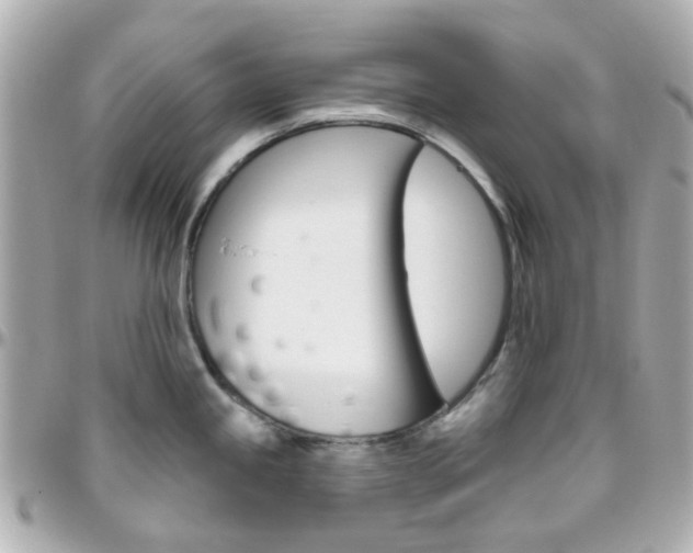 X0000096411245200801241018