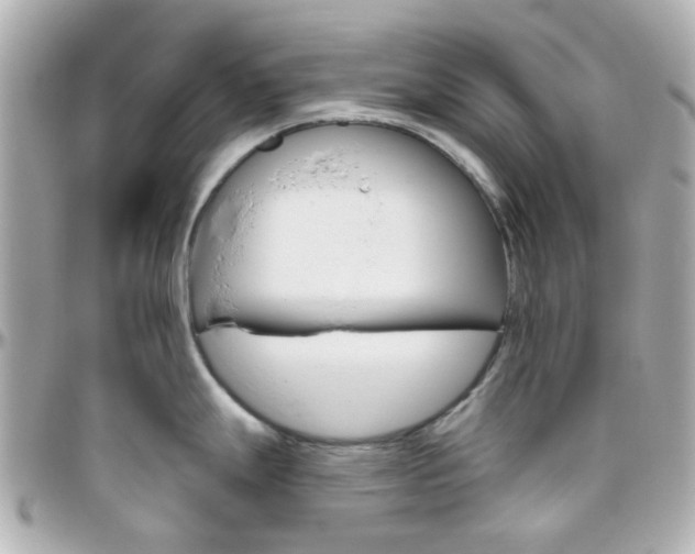 X0000096411247200801241018