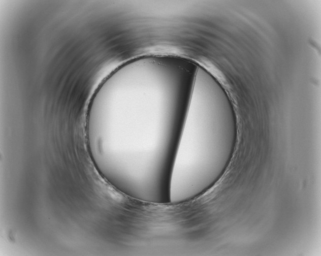 X0000096411248200801241018