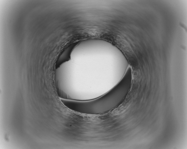 X0000096411249200801241017
