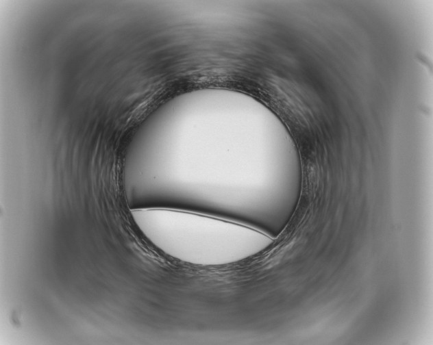 X0000096411250200801241017