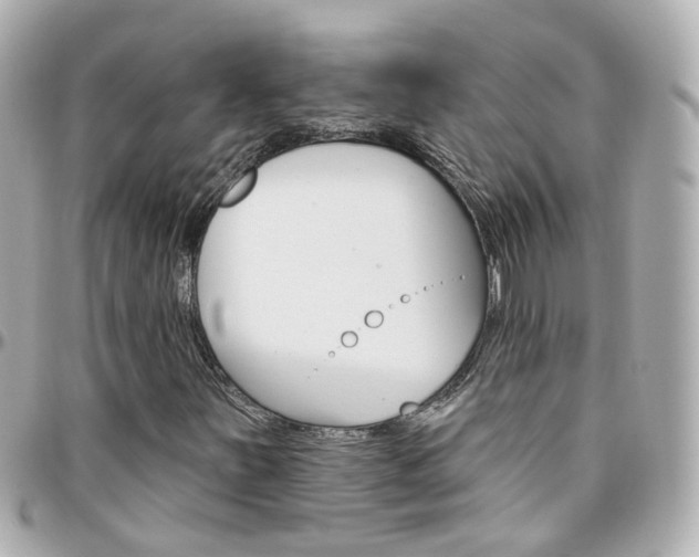 X0000096411251200801241017