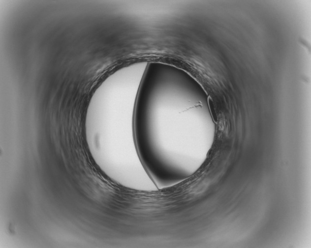 X0000096411252200801241017