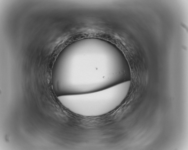 X0000096411253200801241017