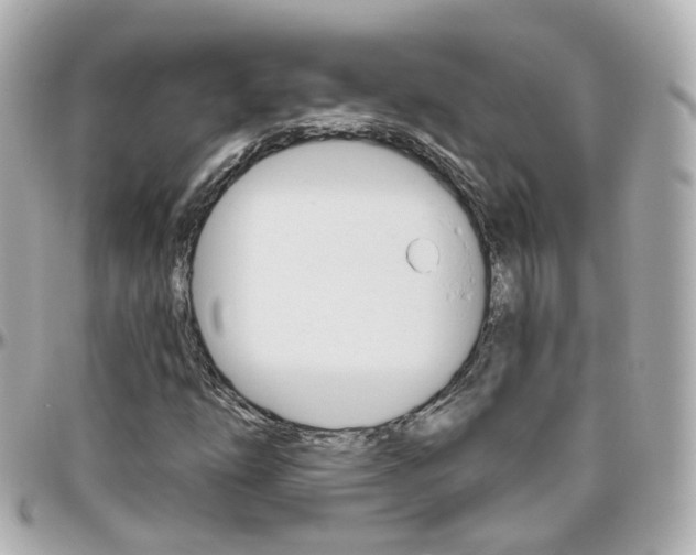 X0000096411254200801241017