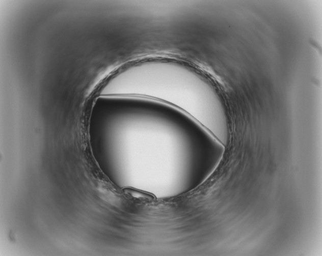 X0000096411256200801241017
