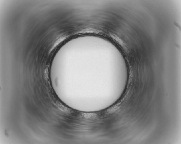 X0000096411258200801241017