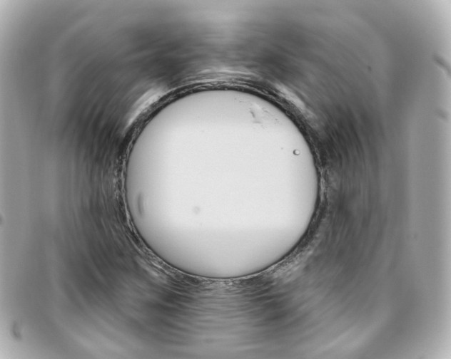 X0000096411259200801241017